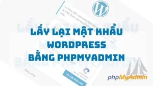 WordPress gặp lỗi: Database error MySQL server has gone away